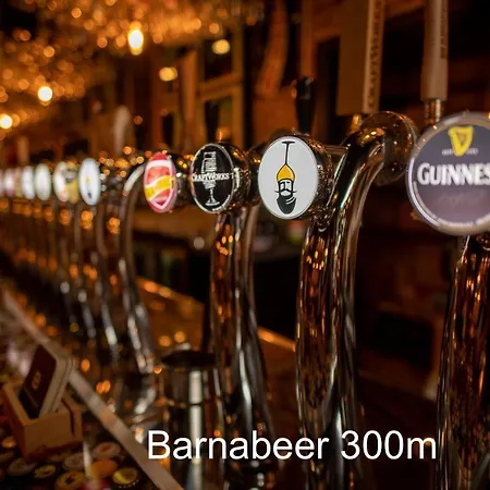 Retro Parisian - 2 Persons - Spacious 75m2 And Fully Equipped - In Center * Namur